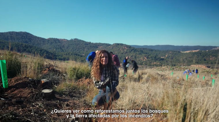 chica en el la montaña plantando árboles