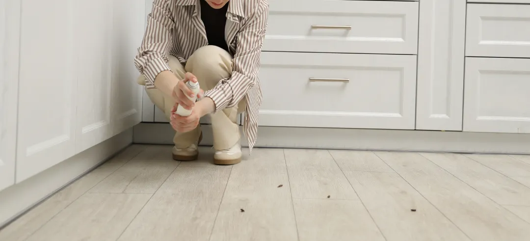 Persona intentado eliminar una plaga de cucarachas en la cocina